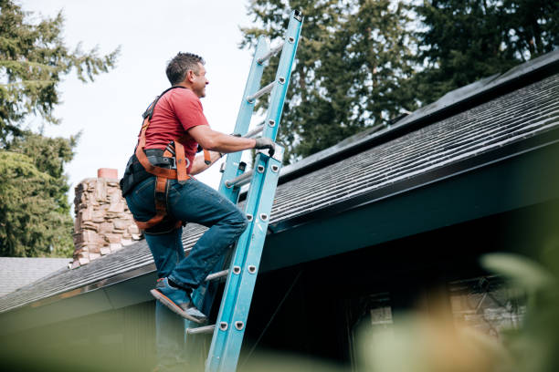 Best Gutter Installation and Repair  in Hrisburg, AR